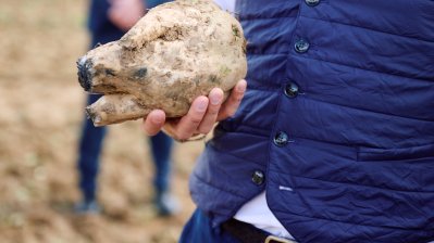 Besuch Pfeifer & Langen GmbH & Co. KG in Appeldorn
