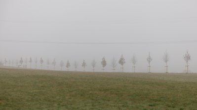 Ministerpräsident Hendrik Wüst pflanzt Erinnerungsbaum im Gedenken an die Opfer der Hochwasserkatastrophe in Nordrhein-Westfalen