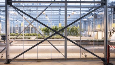 Ministerpräsident Hendrik Wüst besucht Bayer in Monheim