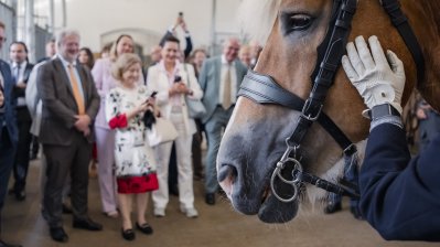 Ministerpräsident Hendrik Wüst empfängt Konsularisches Korps beim Sommerempfang in Warendorf