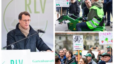 Social Media Posts aus der Woche vom 29. Januar bis 4. Februar 2024