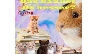 Social Media Posts aus der Woche vom 4. bis 10. Dezember 2023