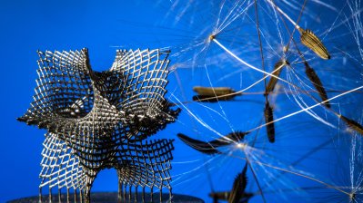 Ein komplexes geometrisches Konstrukt aus dünnen Stäben