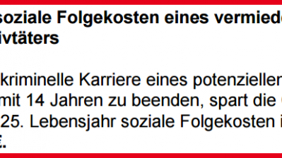 Kosten-Nutzen-Analyse der kriminalpräventiven NRW-Initiative „Kurve kriegen“ - Auszug