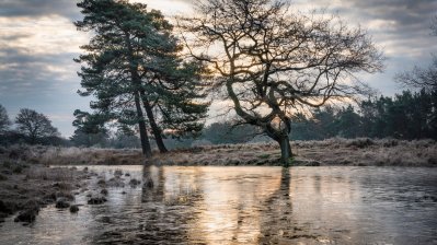 Fotowettbewerb „Lebendige Gewässer in Nordrhein-Westfalen“