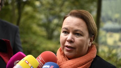 Landesregierung beschließt Programm für die Zukunft des Waldes in Nordrhein-Westfalen