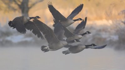 Fotowettbewerb „Lebendige Gewässer in Nordrhein-Westfalen“
