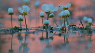 Fotowettbewerb „Lebendige Gewässer in Nordrhein-Westfalen“