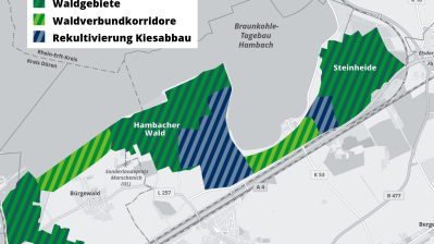 eine Karte in der die Waldgebiete, die Waldverbundkorridore und die Rekultivierung Kiesabbau farblich kenntlich gemacht wurde