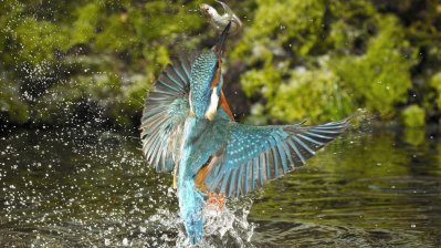 Fotowettbewerb „Lebendige Gewässer in Nordrhein-Westfalen“