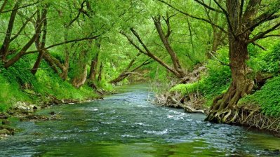 Fotowettbewerb „Lebendige Gewässer in Nordrhein-Westfalen“