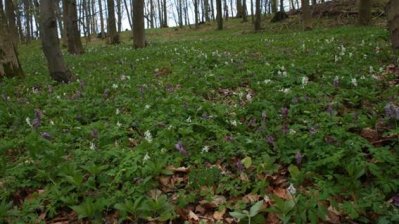 Fotowettbewerb „Wertvolles Naturerbe in Nordrhein-Westfalen“, 21.10.2013