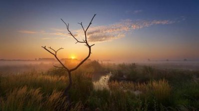 Fotowettbewerb „Wertvolles Naturerbe in Nordrhein-Westfalen“, 21.10.2013