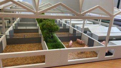 Seitenansicht in ein Modell von einem Stall, mit kleinen Plastikschweinchen