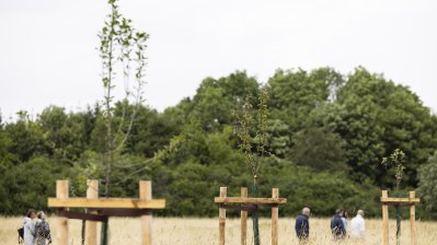 Begegnung mit Angehörigen von Opfern der Flutkatastrophe 2021 an den zu deren Ehren gepflanzten Bäumen in Blankenheimerdorf