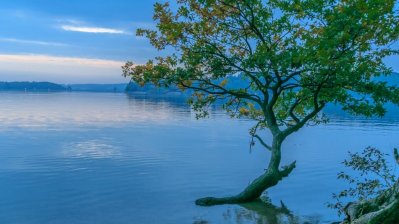 Fotowettbewerb „Lebendige Gewässer in Nordrhein-Westfalen“