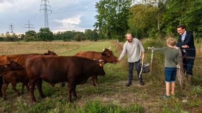 Minister Hendrik Wüst schaut sich die 21 Hektar große Ausgleichsfläche zwischen Herne und Castrop-Rauxel, auf der das rote Höhenvieh lebt, an. 