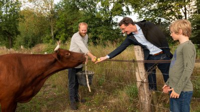 Minister Hendrik Wüst füttert das rote Höhenvieh auf der Ausgleichsfläche.