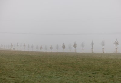 Ministerpräsident Hendrik Wüst pflanzt Erinnerungsbaum im Gedenken an die Opfer der Hochwasserkatastrophe in Nordrhein-Westfalen