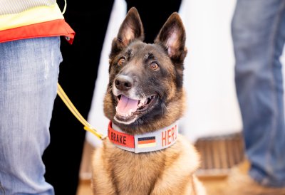 Ministerpräsident Wüst dankt nordrhein-westfälischen Helfern für Erdbebeneinsatz in der Türkei und Syrien