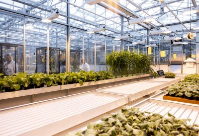 Ministerpräsident Hendrik Wüst besucht Bayer in Monheim