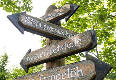 Ministerpräsident Hendrik Wüst besucht gemeinsam mit Manuel Andrack den Königsforst in Köln