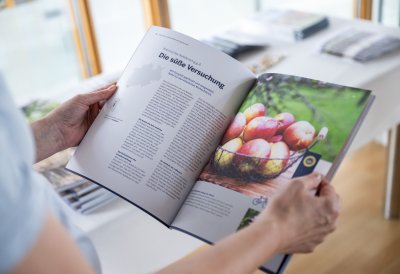 Impressionen aus dem Düsseldorfer Regierungsviertel