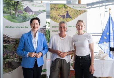 Impressionen aus dem Düsseldorfer Regierungsviertel