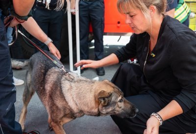 Wirtschaftsministerin Mona Neubaur streichelt einen Einsatz-Hund