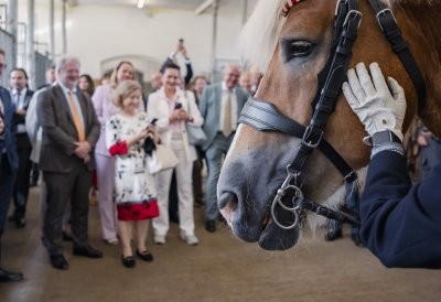Ministerpräsident Hendrik Wüst empfängt Konsularisches Korps beim Sommerempfang in Warendorf