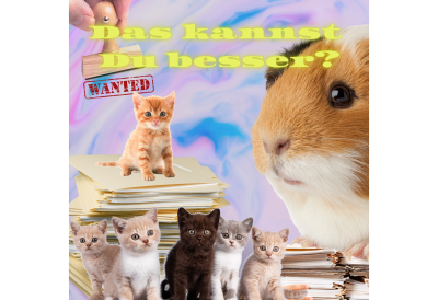 Social Media Posts aus der Woche vom 4. bis 10. Dezember 2023