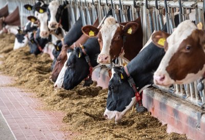 Ministerpräsident Wüst und Ministerin Gorißen würdigen die wichtige Arbeit der Landwirtinnen und Landwirte