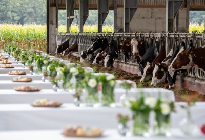 Ministerpräsident Wüst und Ministerin Gorißen würdigen die wichtige Arbeit der Landwirtinnen und Landwirte