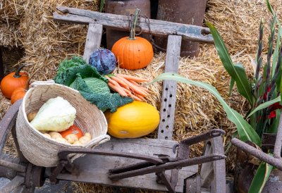 Ministerpräsident Wüst und Ministerin Gorißen würdigen die wichtige Arbeit der Landwirtinnen und Landwirte
