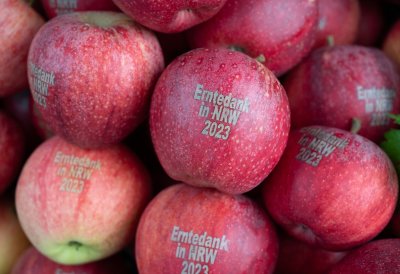 Ministerpräsident Wüst und Ministerin Gorißen würdigen die wichtige Arbeit der Landwirtinnen und Landwirte