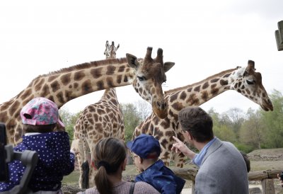 Ministerpräsident Wüst trifft Ehrenpatenkinder und ihre Familien
