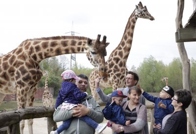 Ministerpräsident Wüst trifft Ehrenpatenkinder und ihre Familien