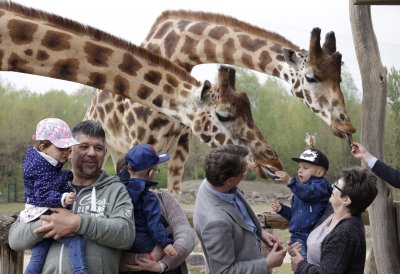 Ministerpräsident Wüst trifft Ehrenpatenkinder und ihre Familien