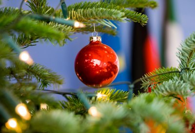 Der Ministerpräsident hat Sternsinger aus allen Diözesen zum Dreikönigssingen im Landeshaus empfangen