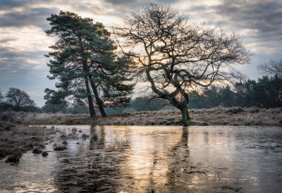 Fotowettbewerb „Lebendige Gewässer in Nordrhein-Westfalen“