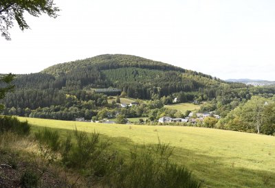 Landesregierung beschließt Programm für die Zukunft des Waldes in Nordrhein-Westfalen