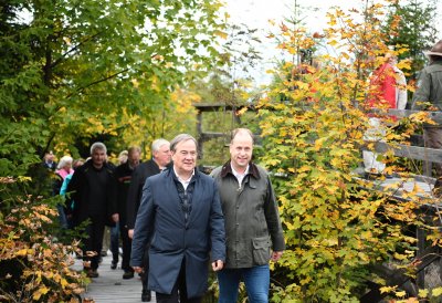 Landesregierung beschließt Programm für die Zukunft des Waldes in Nordrhein-Westfalen