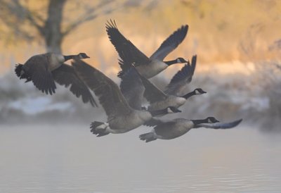 Fotowettbewerb „Lebendige Gewässer in Nordrhein-Westfalen“
