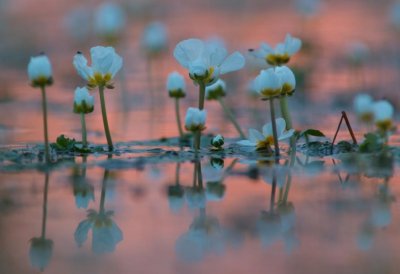 Fotowettbewerb „Lebendige Gewässer in Nordrhein-Westfalen“