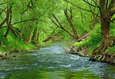 Fotowettbewerb „Lebendige Gewässer in Nordrhein-Westfalen“