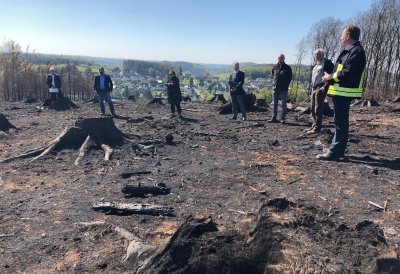Vorläufige Waldbrandbilanz Nordrhein-Westfalen: Weiterhin akute Gefahr