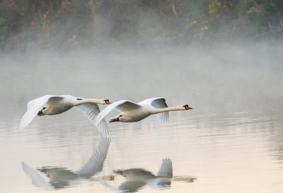 Fotowettbewerb „Lebendige Gewässer in Nordrhein-Westfalen“