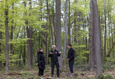 Ministerpräsident Hendrik Wüst: Unser Wald ist Lebensraum und Klimaschützer Nr. 1