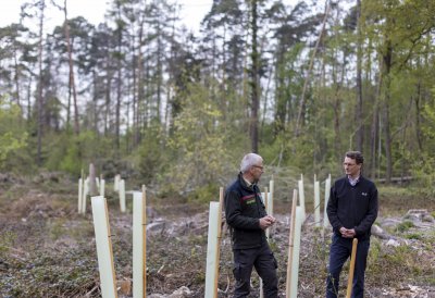 Ministerpräsident Hendrik Wüst: Unser Wald ist Lebensraum und Klimaschützer Nr. 1