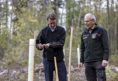 Ministerpräsident Hendrik Wüst: Unser Wald ist Lebensraum und Klimaschützer Nr. 1